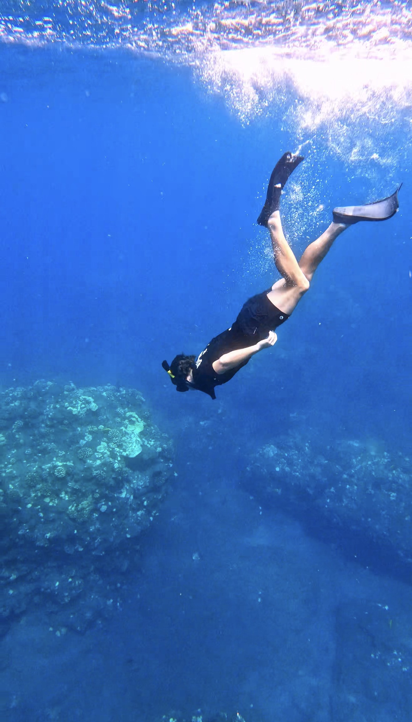 Snorkeler diving beneath the surface above an ocean reef