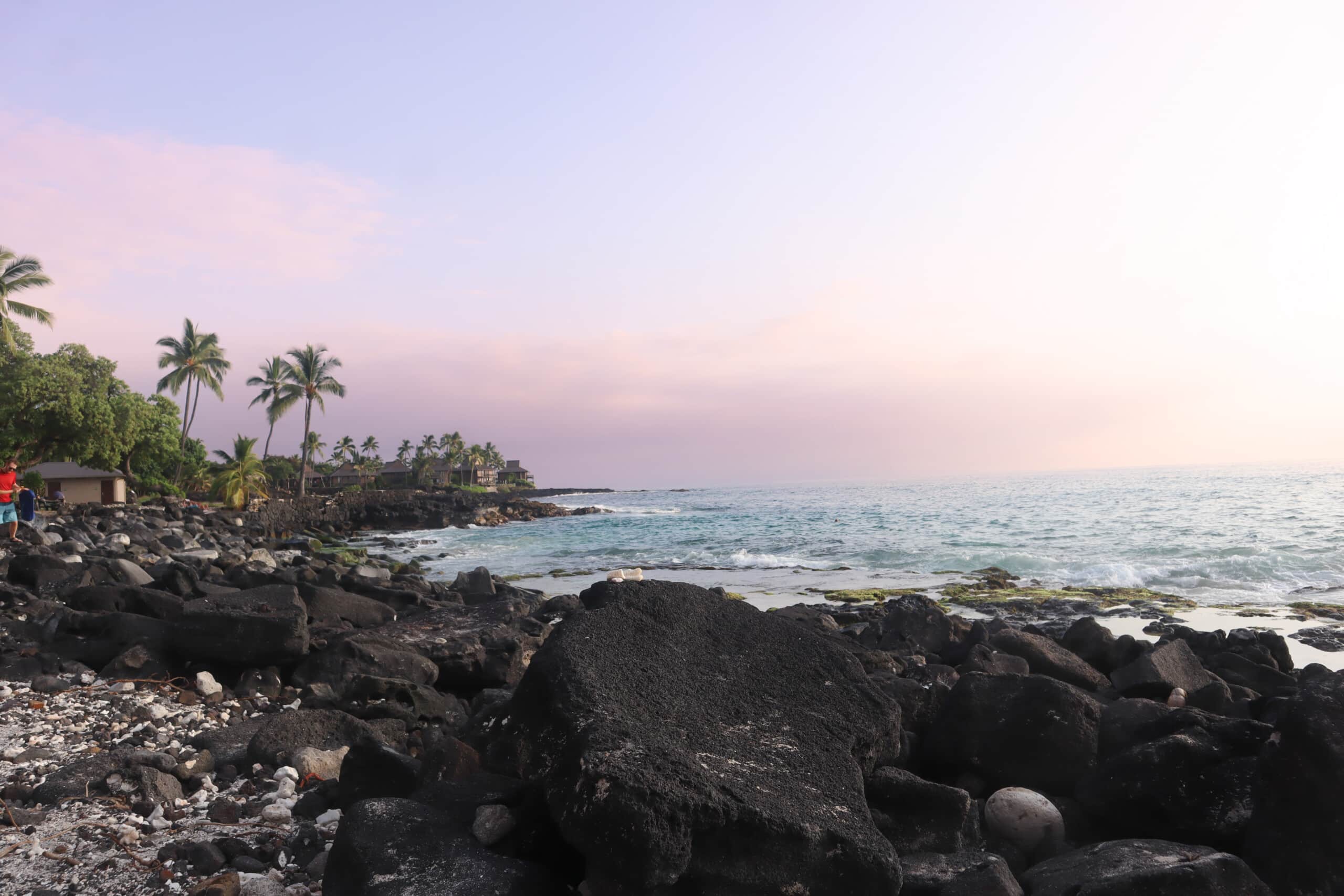 Pink sunset over palm trees and black lava rocks beside the ocean