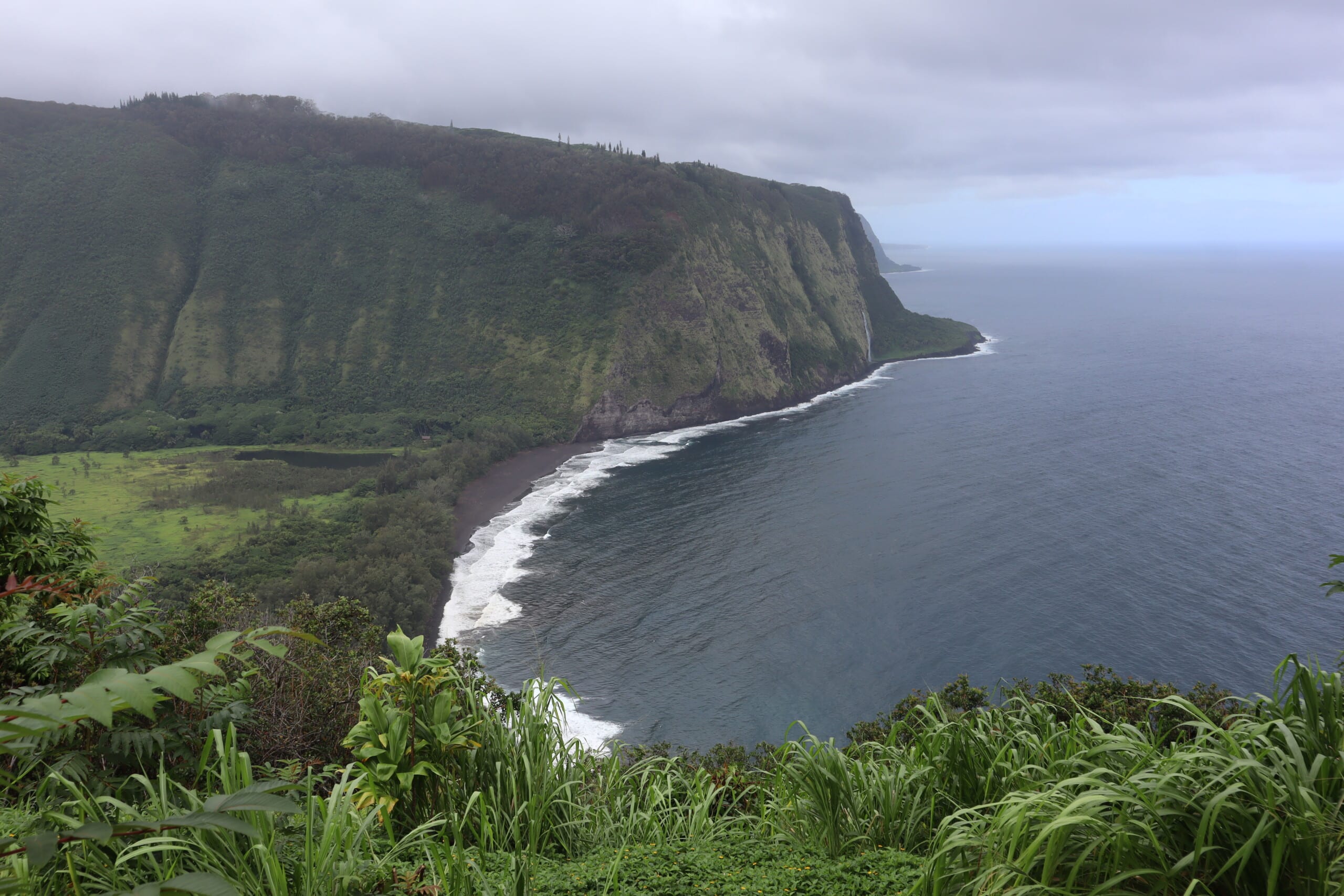 Steep green coastal cliffs above the ocean on the Big Island