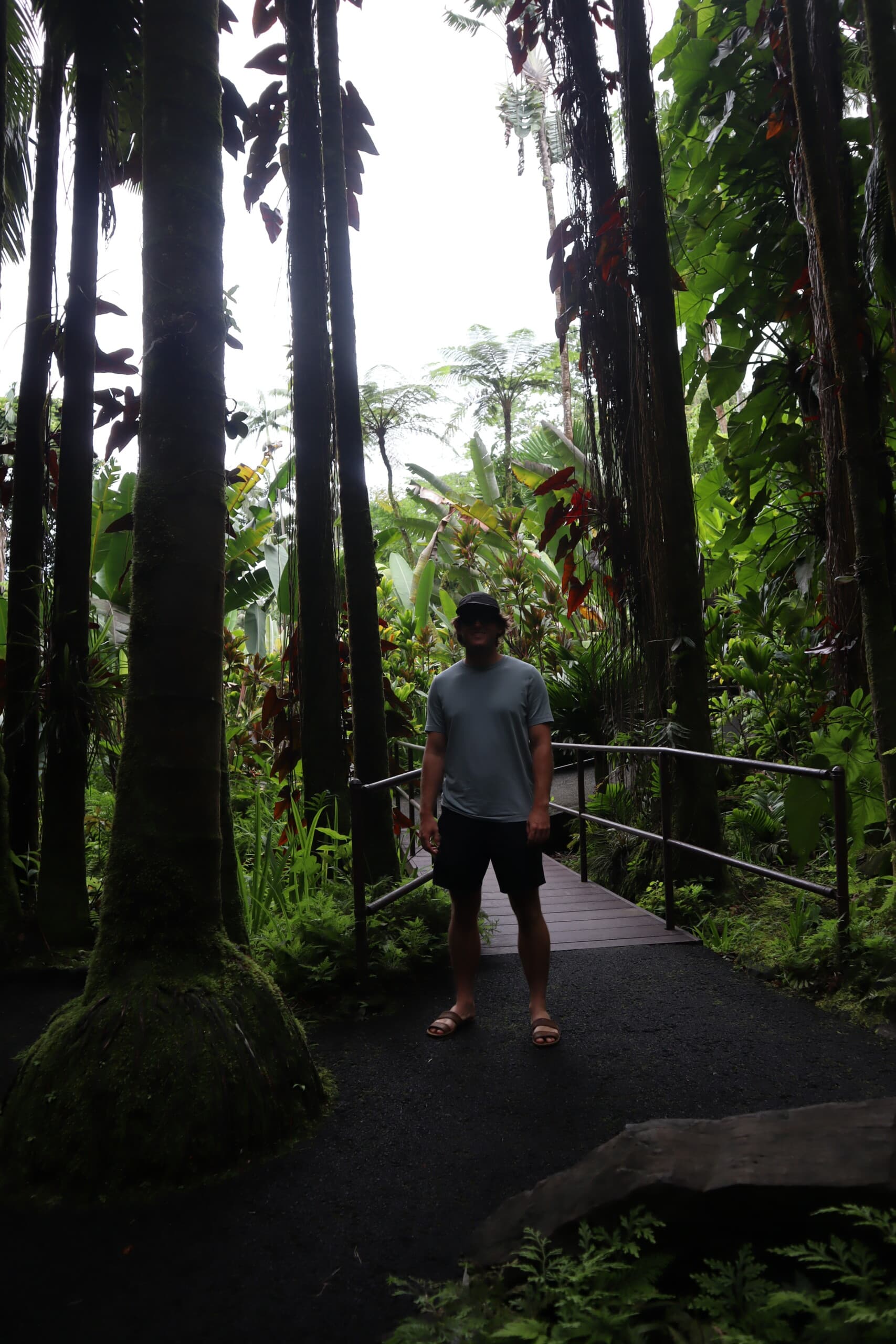 A person walking along a paved path through dense tropical greenery