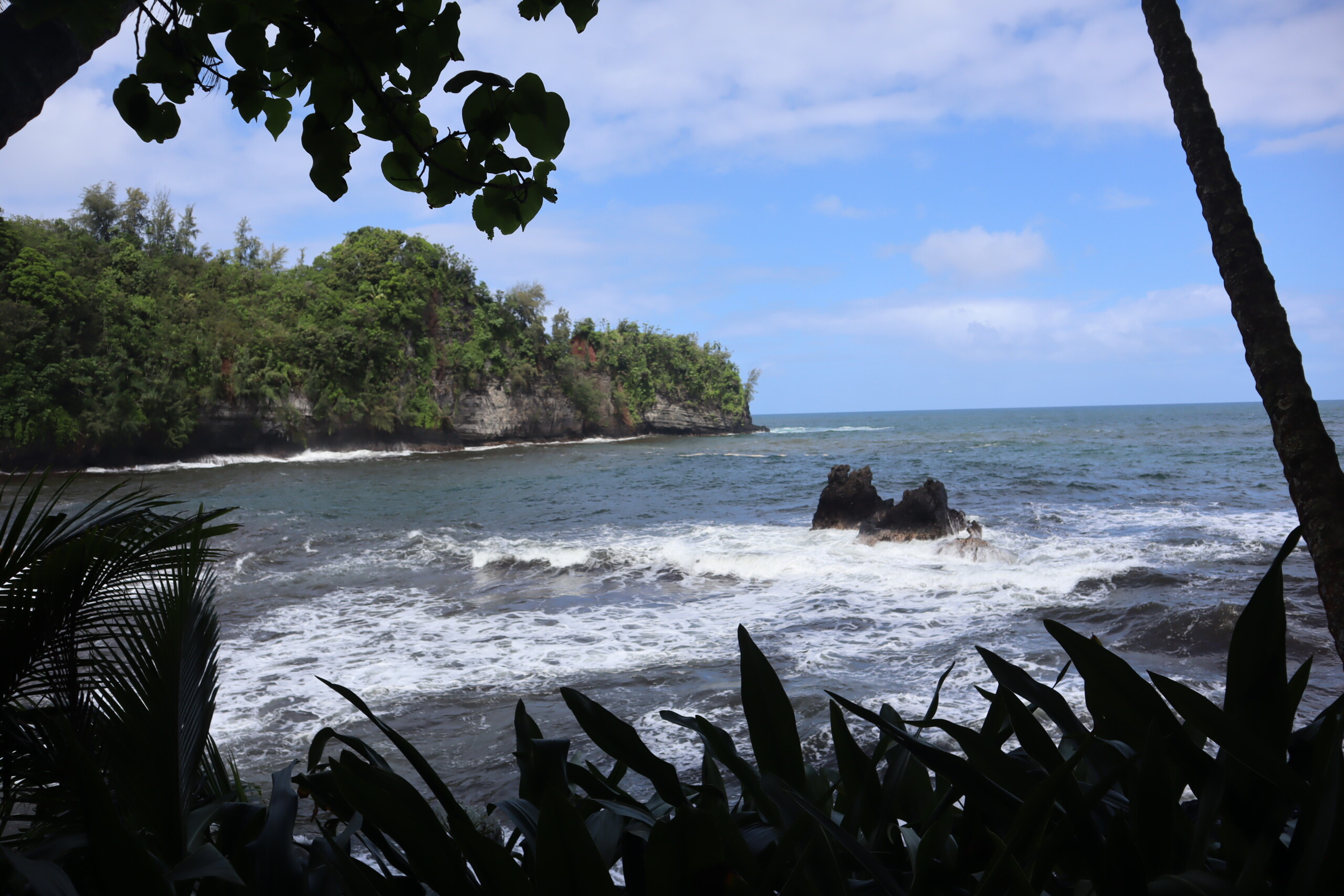 Rocky tropical bay framed by trees and palm fronds