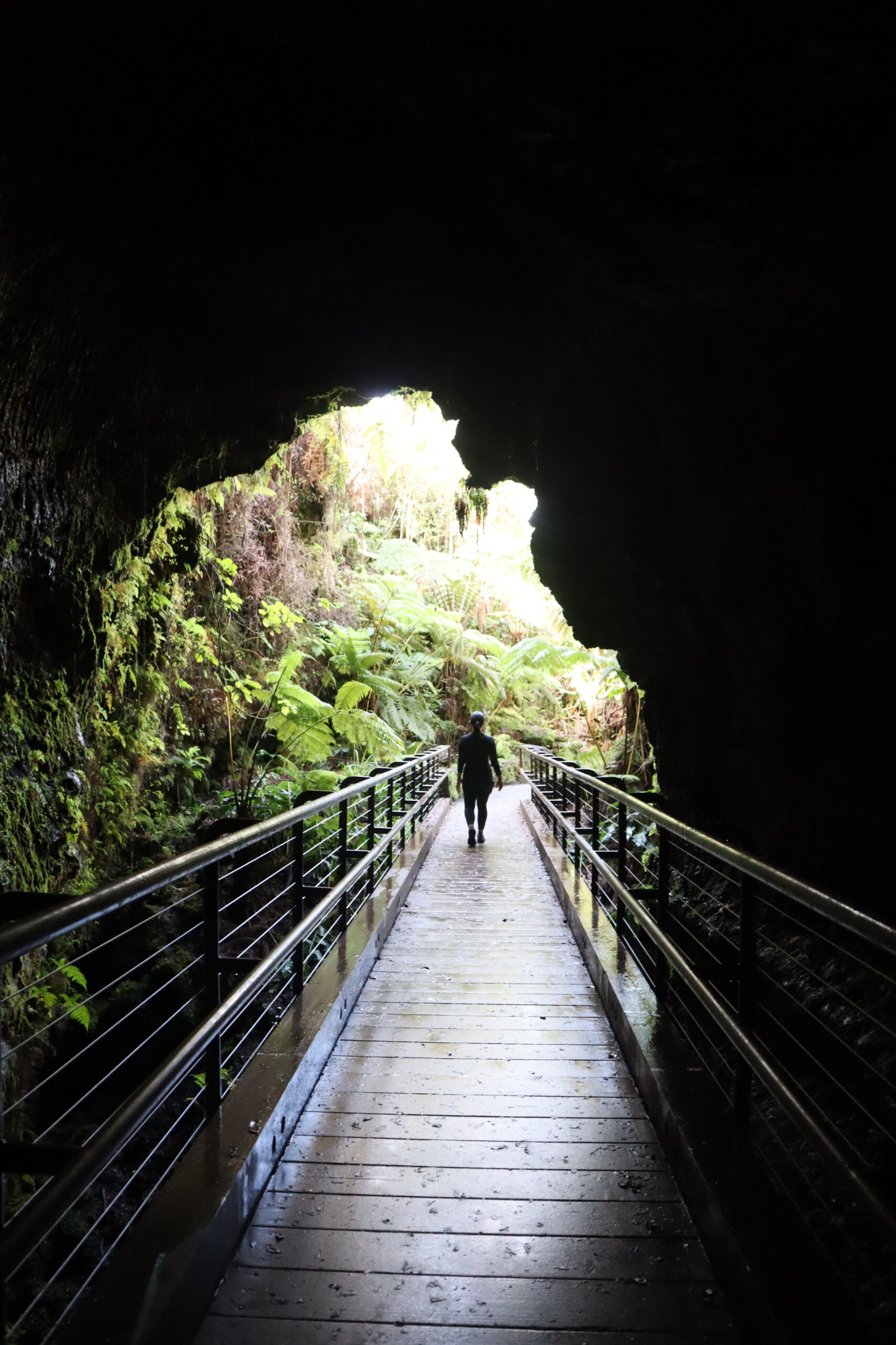 Walkway leading from a dark lava tube toward a bright forest entrance